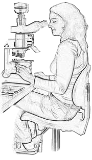 Lida and microscope